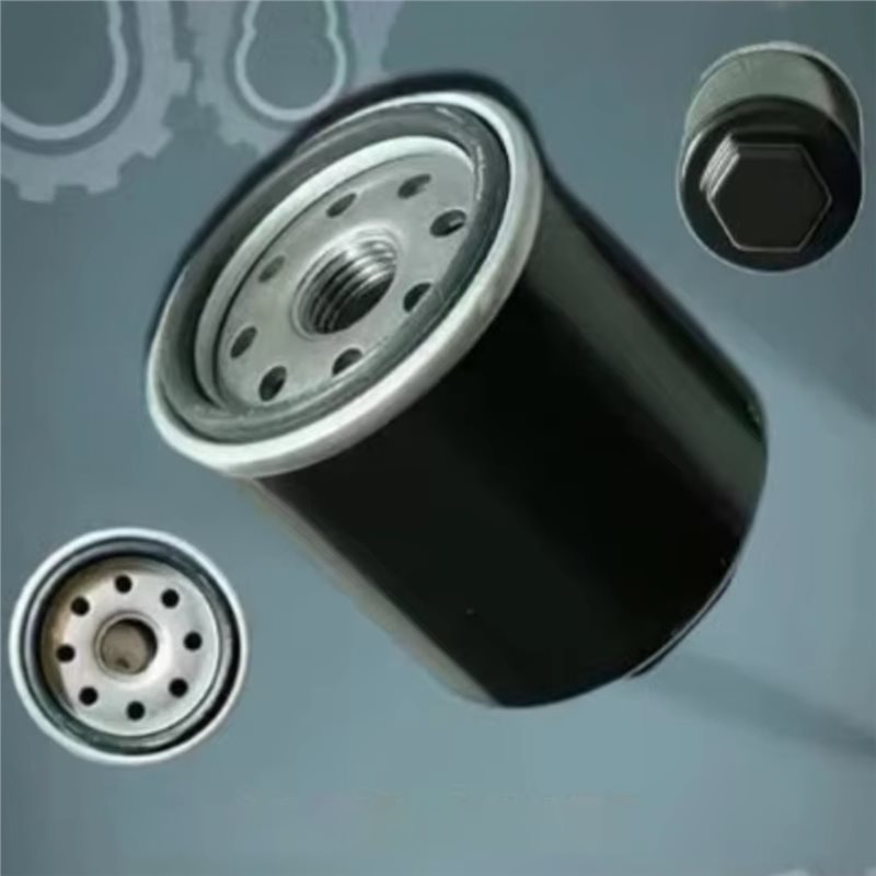 SHGO-320-400CC BS175MN-184MN : - Motorcycle Oil Filter avis et prix